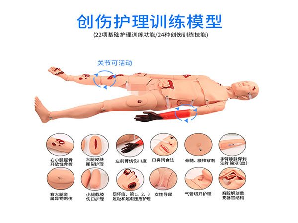 全功能创伤护理模拟人（BIX-H111）